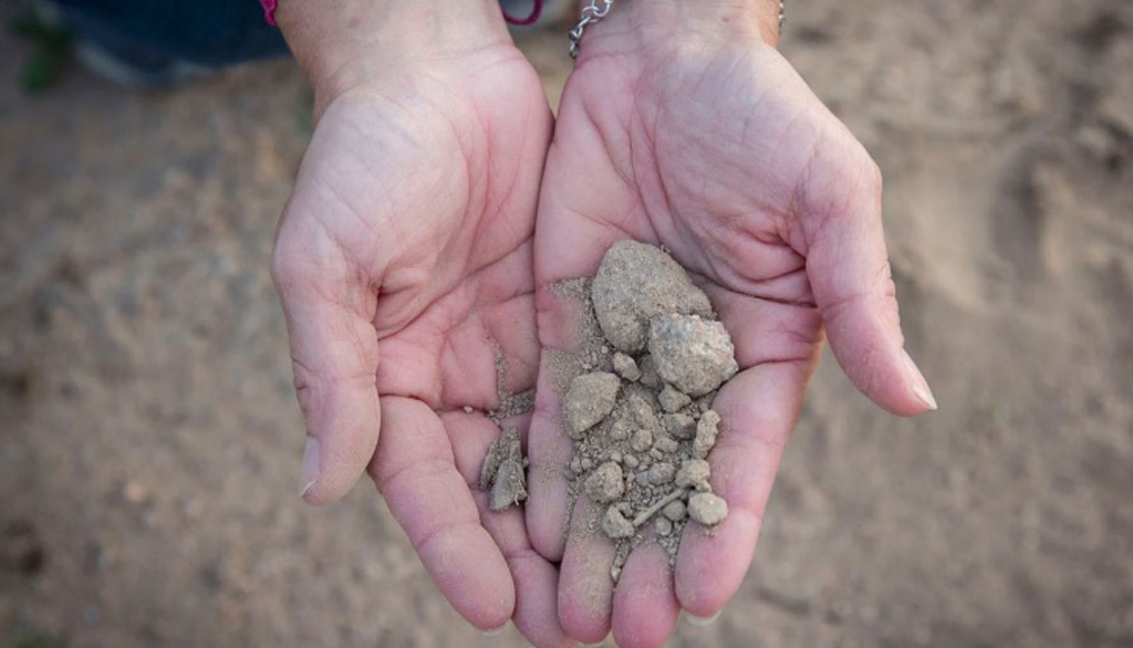 Tenute Ólbios, vini dalla “terra felice” della Gallura nel nord est della Sardegna