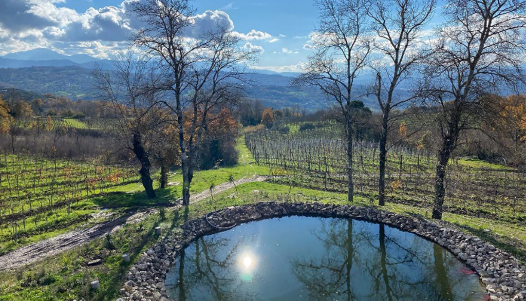 Tenuta del Meriggio in Campania, l’antica magia dei vini dell’Irpinia