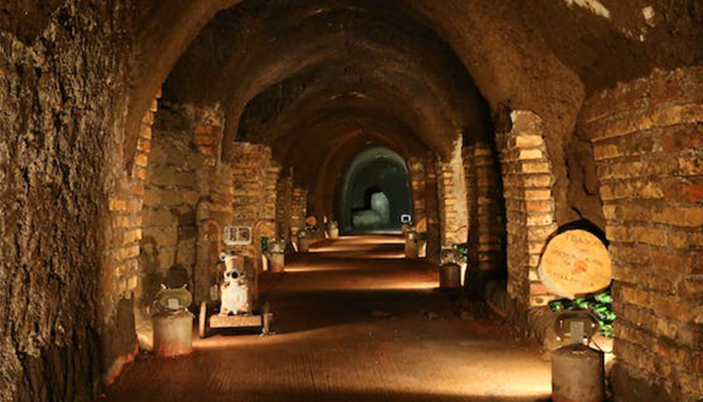 Tenuta di Pietra Porzia, da Frascati (Roma) vini laziali con radici nella storia millenaria