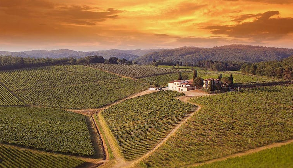 Casa Emma in Chianti, eccellenti vini toscani accessibili a tutti e sostenibili per l’ambiente