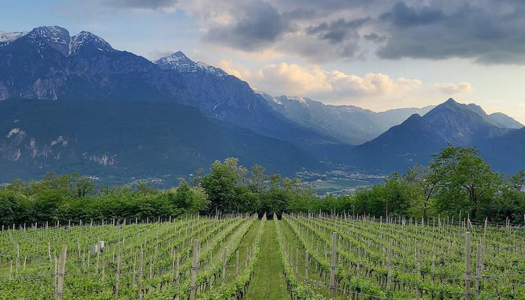 Cenci, bollicine sartoriali di TrentoDoc della Bassa Valsugana dagli artigiani del metodo classico
