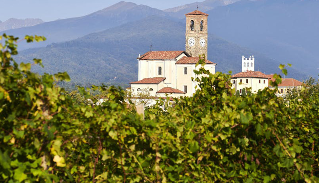 I vini di Tenute Sella, dal 1671 arte del Nebbiolo tra Lessona, Bramaterra e Coste della Sesia