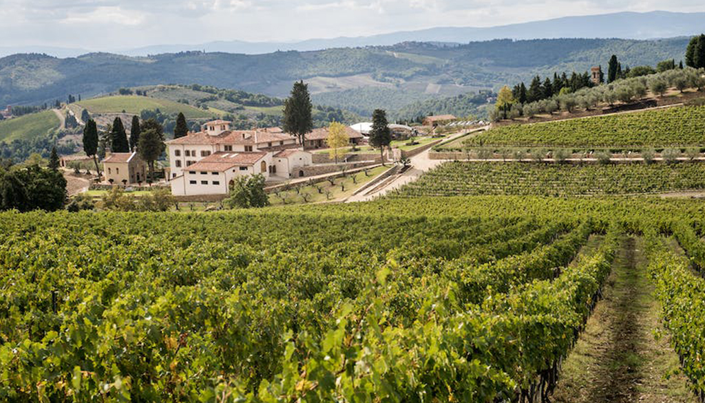 Tenuta Casenuove, vini dal cuore del Chianti Classico da una storica realtà secolare