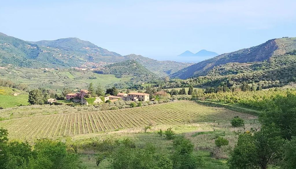 Tenuta Gatti nel messinese, dal 1825 vini siciliani d’eccellenza nel regno del Mamertino