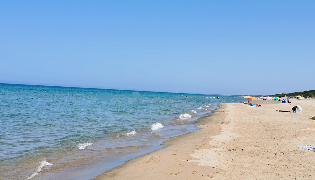 La bellezza libera e selvaggia della civilissima spiaggia delle Dune di Sabaudia nel Lazio