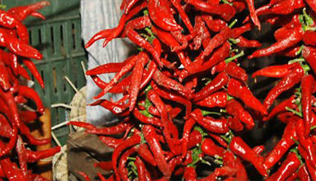 Il Peperone dolce d’Altino, Presidio Slow Food dell’Abruzzo