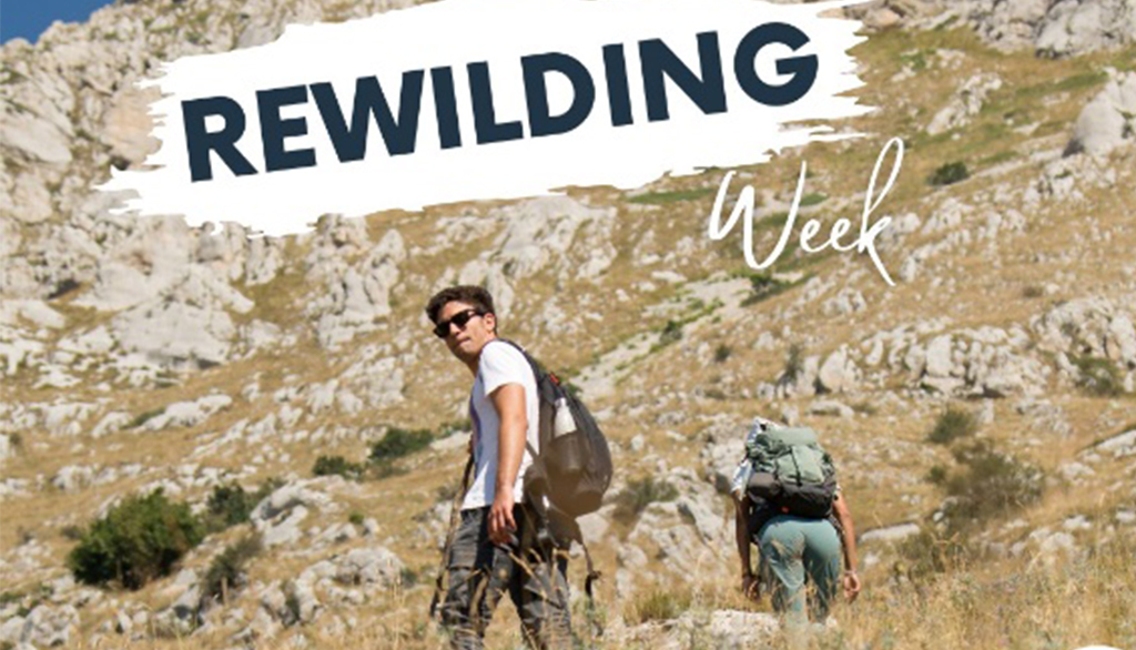 Rewilding Apennines, per salvaguardare la natura selvaggia nell’Appennino Centrale