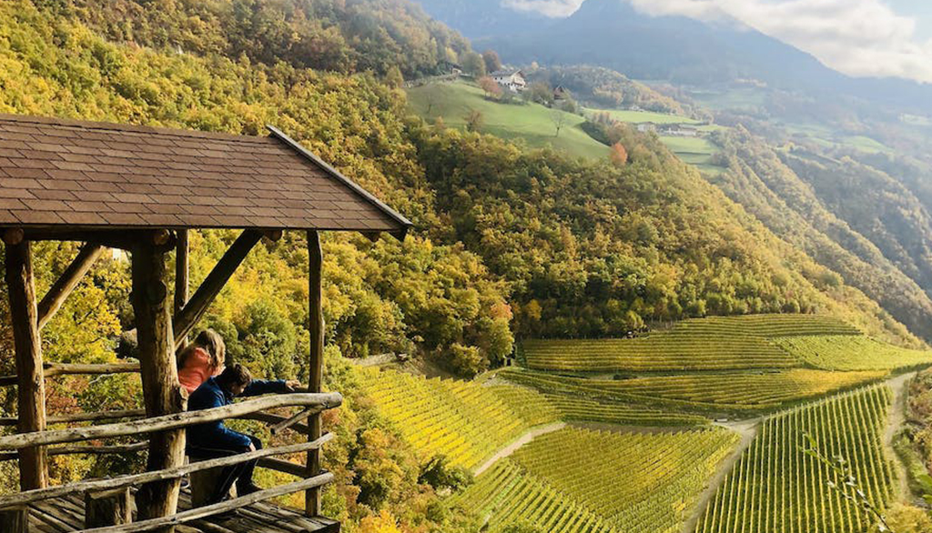 Prackfol, vini dell’Alto Adige da un maso secolare della valle di Tires
