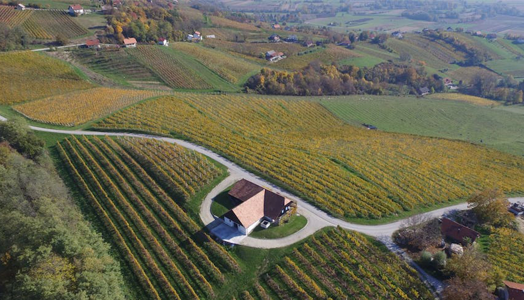 La spumeggiante storia di Istenič, le sorprendenti bollicine della Slovenia