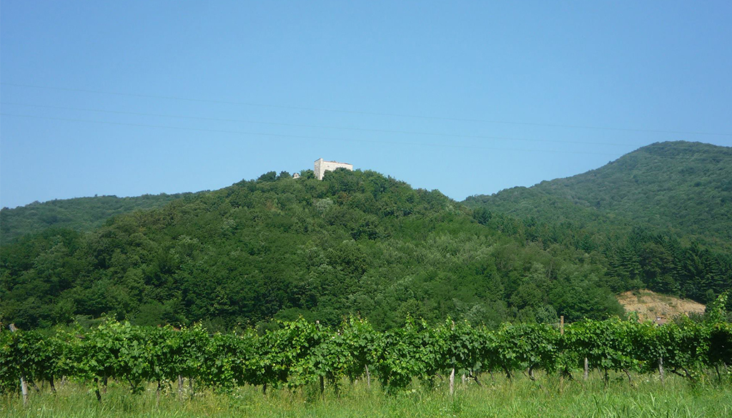 I vini friulani di Ladairocs, da uve autoctone di Refosco e Verduzzo nel rispetto della natura