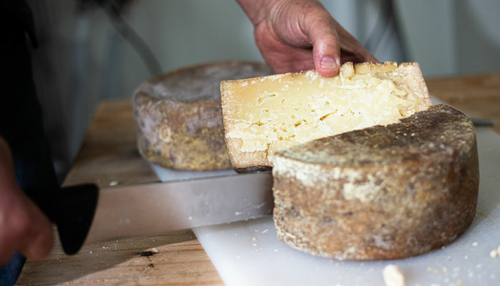 Casu’e Babbu, grande pecorino sardo Presidio Slow Food