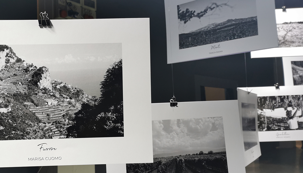 La mostra fotografica di Proposta Vini a Parma, volti e paesaggi di un’azienda come luogo poetico