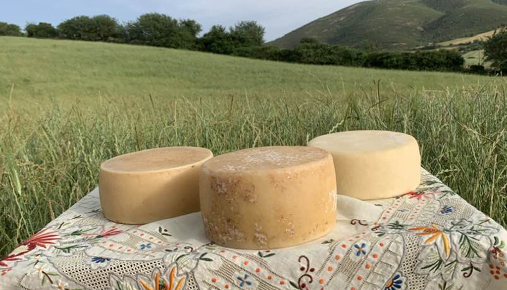 Malamida, il formaggificio sardo di Elisa Artitzu delle perle casearie a latte crudo