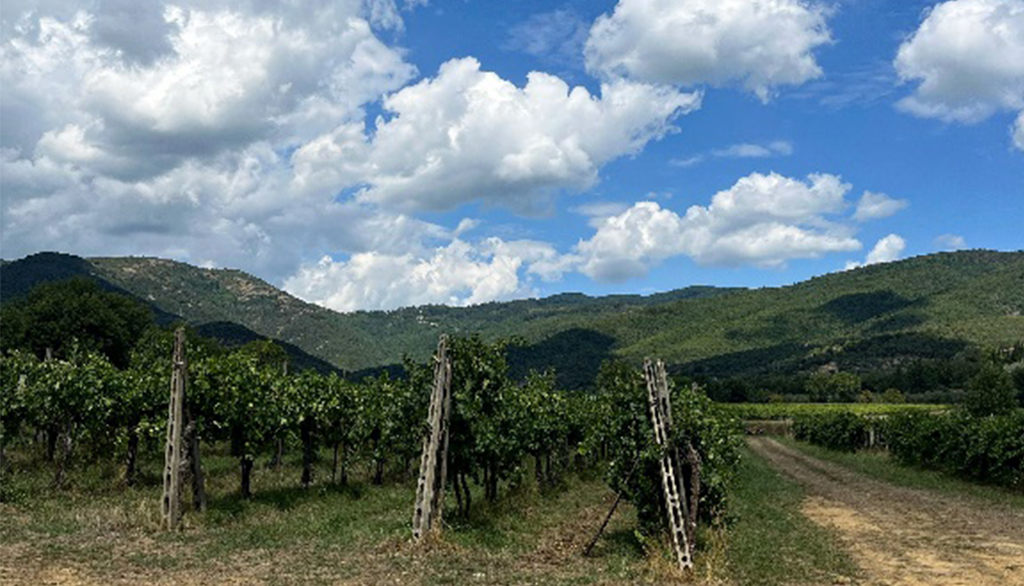 I vini con messaggi dell’associazione culturale toscana Caravanserraglio, progetto agricolo popolare