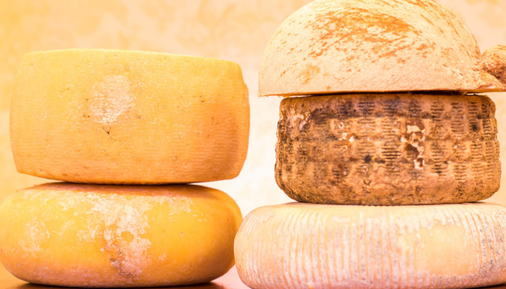 I formaggi biologici di Podere al Sole, azienda agricola di Scanno (AQ) in Abruzzo